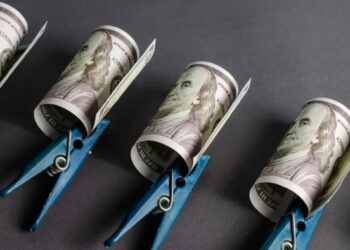 فعالان حوزه ارزهای دیجیتال آمریکای لاتین و اروپا همچنان از استیبل کوین ها استقبال می‌کنند