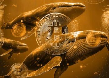 نهنگ‌های بیت کوین تنها در 2 روز بیش از 20 هزار بیت کوین خریدند
