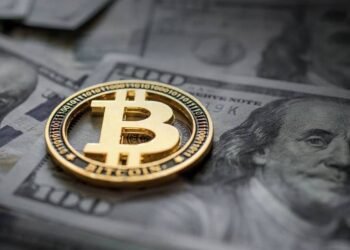 یک کاربر 500 هزار دلار را برای یک تراکنش بیت‌ کوین پرداخت کرده است
