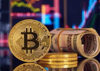 بیت‌ کوین برای آزادی تراکنش‌ ها بهترین راه‌ حل است
