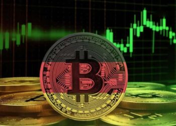 تبدیل بیت کوین به پول قانونی توسط نماینده پارلمان آلمان
