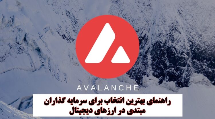 آوالانچ یا پپه؛ بهترین انتخاب برای سرمایه‌گذاران مبتدی کدام است؟