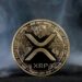 بررسی روند نزولی XRP در بازار ارز دیجیتال