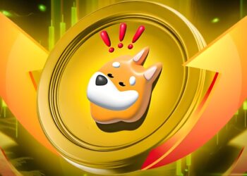 رشد قابل توجه قیمت BONK همزمان با بهبود بازار میم کوین ها
